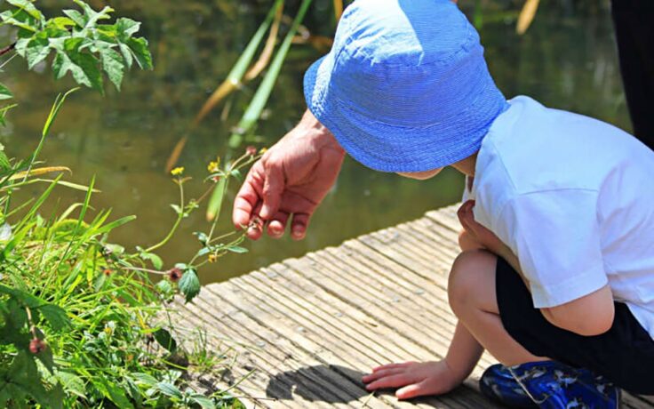 Child with a hat inspecting plant