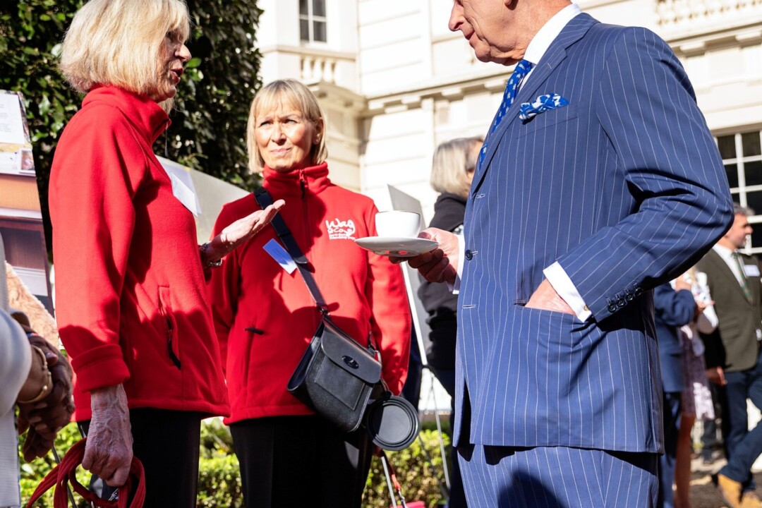 HMK meets Wag & Company