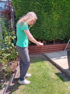 Analysing lawn biodiversity